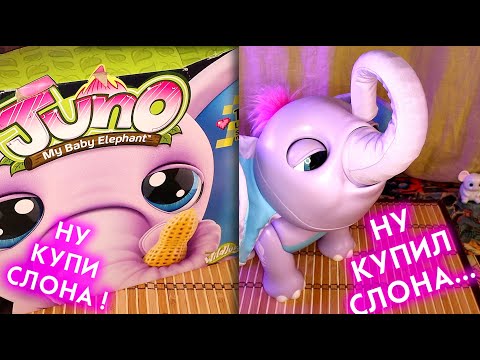 Видео: КУПИЛ СЛОНА Джуно интерактивный Слоник Умная Игрушка JUNO My Baby Elephant