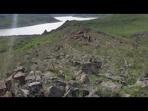 Видео: Охота кеклик шкори Изат