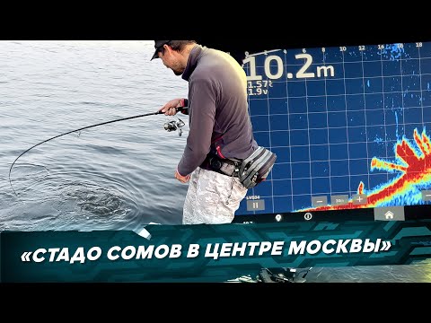 Видео: СОМ НА СПИННИНГ в центре Москвы. Рыбалка с #OnlySpin