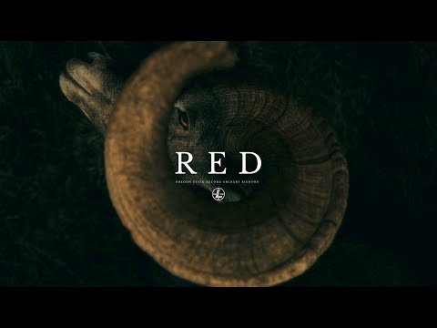 Видео: RED - Рекорд штата Орегон по стрельбе из лука в Бигхорне