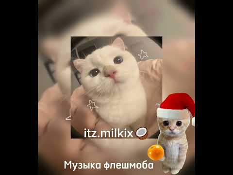 Видео: 🕸️Музыка для флешмоба❄️