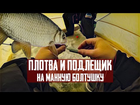 Видео: Плотва и подлещик: простая рыбалка на болтушку
