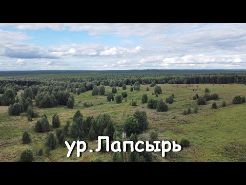 Видео: Урочище Лапсырь (Чердынский район)