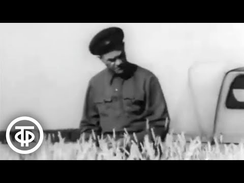 Видео: Труды и дни Терентия Мальцева. Документальный фильм (1971)