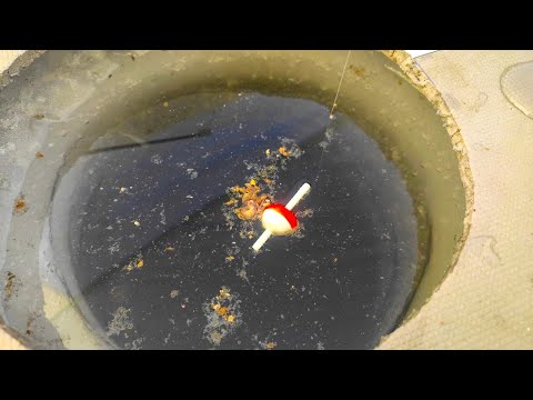 Видео: Зимние КОРОМЫСЛА КОСЯТ рыбу в ЖОР!!  Рыбалка на крупного леща