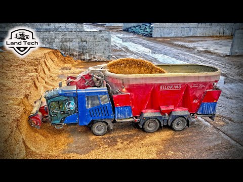 Видео: Эта машина кормит коров на огромной ферме! SiloKing System 1000+ самый большой кормосмеситель!