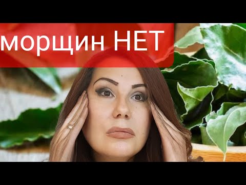 Видео: Просто стирает даже Глубокие морщины! Самый простой Лавровый крем от морщин и Дряблой кожи.