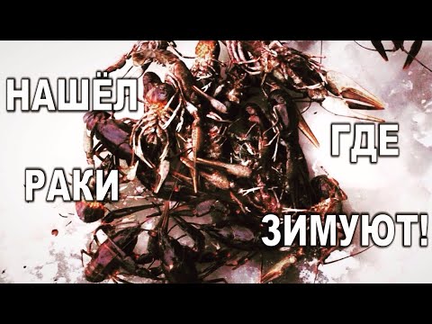 Видео: Ловля раков в ноябре. Сколько раков из подо льда на лесном озере! Нашел где раки зимуют!
