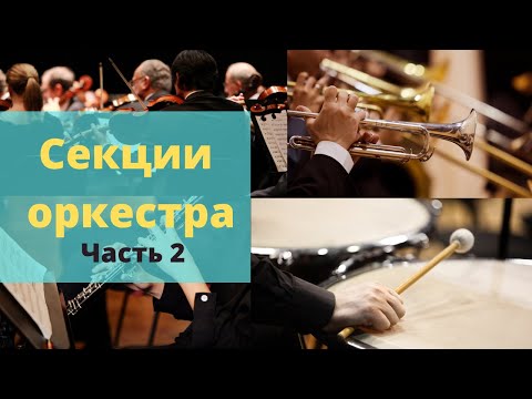 Видео: Секции оркестра + примеры FL studio