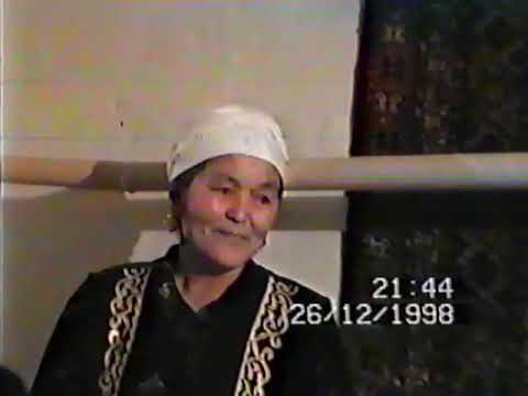 Видео: тоты