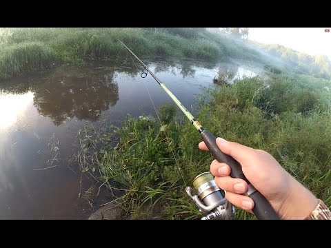 Видео: Прохладное утро на МИКРО-РЕЧКЕ - ловля щуки на НЕОГРУЗКУ!