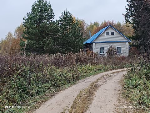Видео: Дачный влог: дорога в деревню// природа под музыку Баха// пасека в октябре// шиповник на зиму.