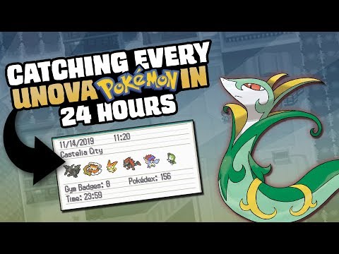 Видео: НАСКОЛЬКО ЛЕГКО ВЫ МОЖЕТЕ ПОПОЙМАТЬ ВСЕХ ПОКЕМОНОВ В ЧЕРНО-БЕЛОМ ЦВЕТЕ?