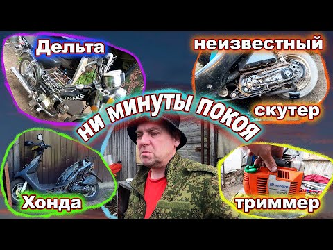 Видео: Хонда Дельта Триммер и многое другое!  Целый день кругом.