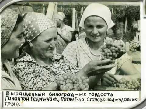 Видео: ИСТОРИЯ  - с. ЧИШМИКИОЙ