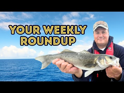 Видео: Преимущества универсальности — Люди продаются — Почему я никогда не смогу стать шкипером чартерно...