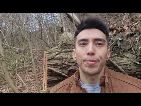 Видео: Опасности и соблазны в Польше|Работа в Польше| Польша 2023