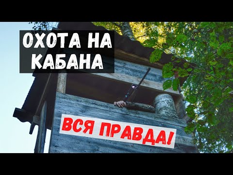 Видео: Охота на кабана. Ночь. Вышка. Ночник. Шок! Смотреть до конца!