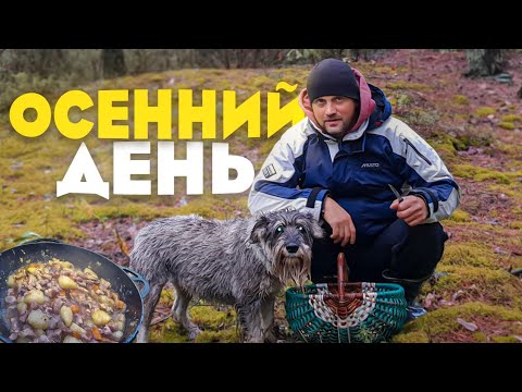 Видео: Если день без стройки , то это праздник для подписчиков . Вы же любите , когда мы просто живём .