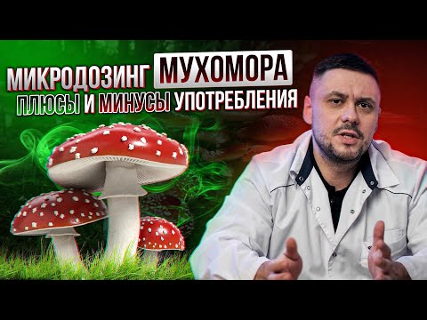 Видео: Микродозинг красного мухомора. Употребление мухоморов. Мухоморный микродозинг польза или вред