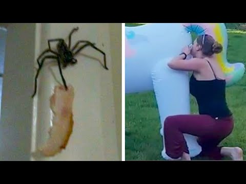 Видео: И смех, и слёзы в одном кадре