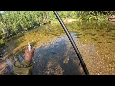 Видео: Якутия. Рыбалка на хариуса 2 часть