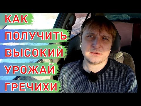 Видео: Схема питания для гречихи / гречки. Минеральные удобрения и листовые подкормки