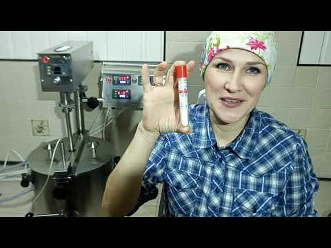 Видео: Сыр Качотта в сыроварне MAGGIO🐮