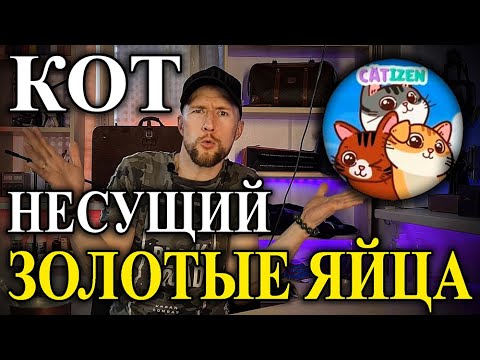 Видео: Заработать на кошках? Catizen TON airdrop прокачка котов для пассивного дохода