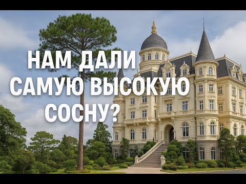 Видео: В Далат, Swiss-BelResort Tuyền Lâm [Vietnam vlog]
