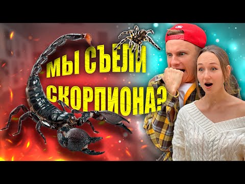 Видео: НИКОГДА НЕ ПРОБУЙТЕ СКОРПИОНА!  |  КАКОЙ НА ВКУС СКОРПИОН? | ЖИЗНЬ В КИТАЕ