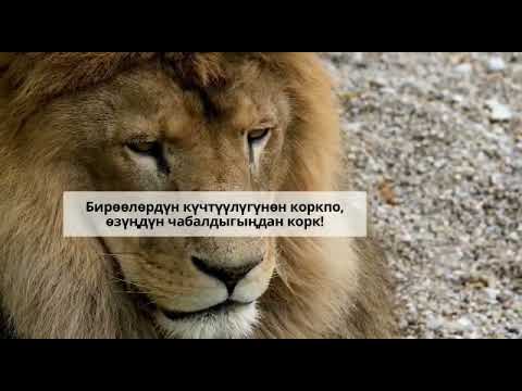 Видео: Асыл ойлор