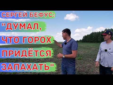 Видео: Яровой Ячмень, Пшеница, Горох и Чечевица. Разные нормы высева Пшеницы.