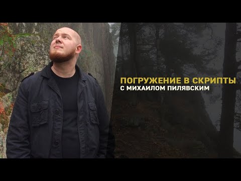 Видео: Погружение в скрипты Reaper [Михаил Пилявский]