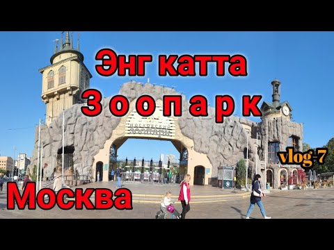 Видео: Moskvada eng katta Hayvonot bog'i  | Московский Зоопарк | Хайвонот олами 2020