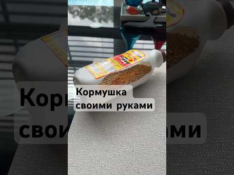 Видео: Кормушка для перепелов.  #перепела #цыплята #chicken #birds #minifarmer #urbanfarming