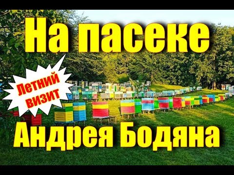Видео: На пасеке Андрея Бодяна - Летний Визит