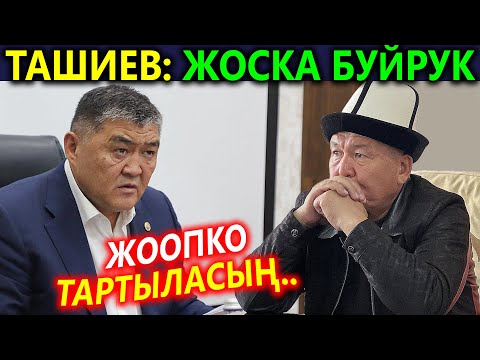 Видео: Ташиевдин СӨЗҮ - МЭРге приямо ТИЙДИ⚡МЭР дароо ИШКЕ киришти