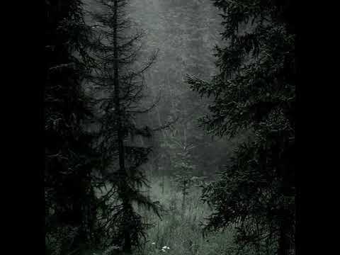 Видео: ЛСП- Один (speed up)