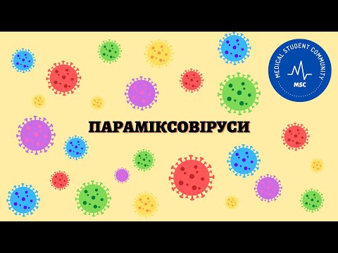 Видео: ПАРАМІКСОВІРУСИ: вірус парагрипу, вірус паротиту, вірус кору, респіраторно-синцитіальний вірус