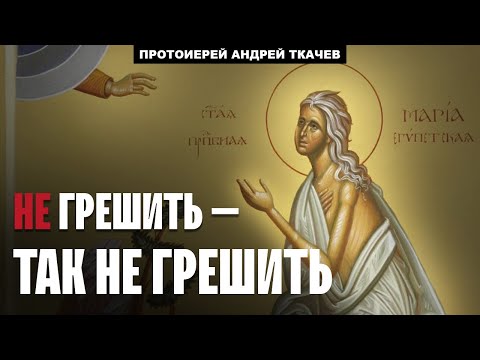 Видео: Блуд - одна из самых тяжёлых болезней человека.  Отец Андрей Ткачёв