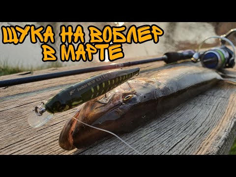 Видео: ДЖОКЕР для ЩУКИ - она любит этот ВОБЛЕР!! ТВИЧИНГ ВЕСНОЙ!!!