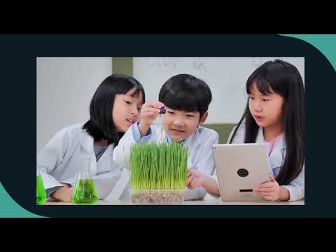 Видео: 12. “Биология және STEAM” гимназия компонентіне арналған авторлық бағдарламасы