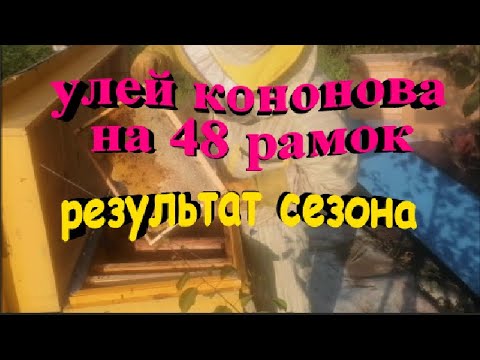 Видео: Улей Кононова на 48 рамок  Отбор мёда  Результат сезона