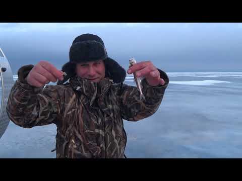 Видео: Ловля корюшки в Финском заливе на Аэролодке  аэробот