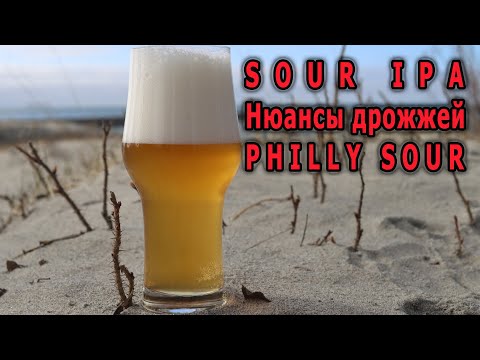 Видео: Sour IPA Нюансы дрожжей Philly Sour