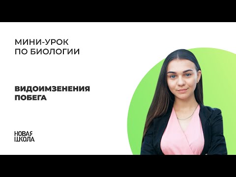 Видео: НШ | Биология. Видоизменения побега