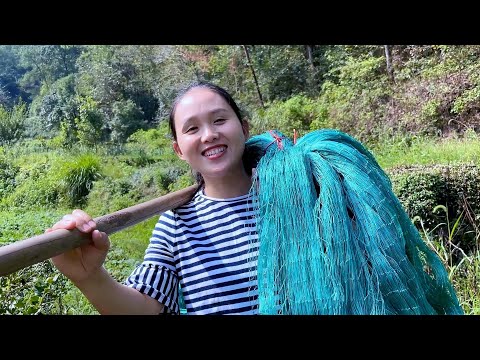 Видео: Цыпленок слишком непослушный и портит урожай соседа.Преображает птицеферму