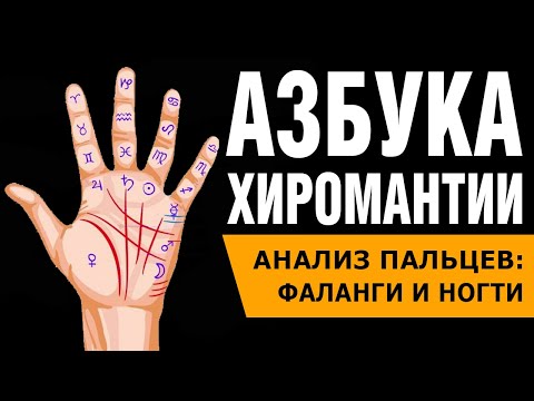 Видео: Азбука хиромантии