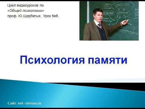 Видео: Память человека. Психология памяти.